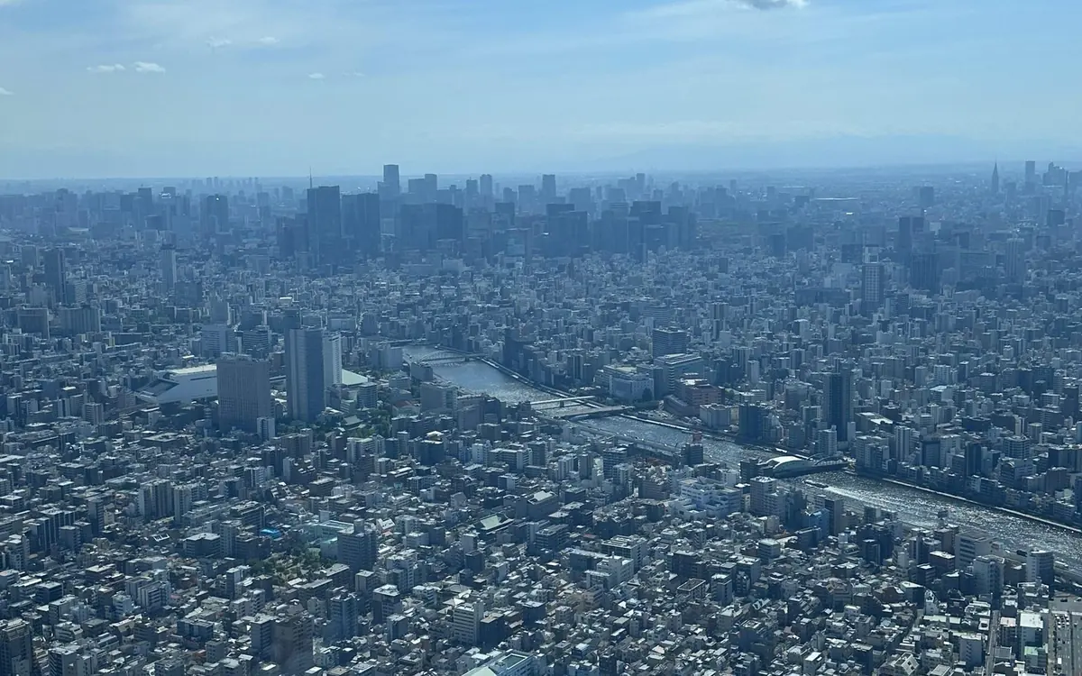 Dense city blocks running to a hazy horizon, with a wide river and its bridges crossing the frame